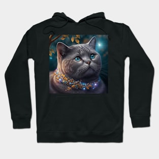 Luminous British Shorthair Kitten Hoodie